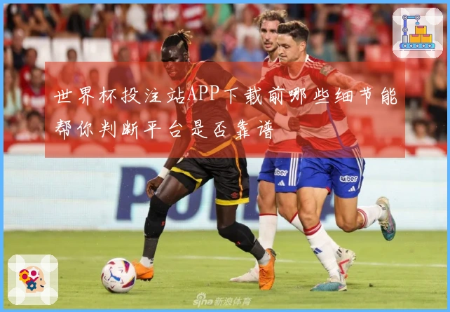 世界杯投注站APP下载前哪些细节能帮你判断平台是否靠谱